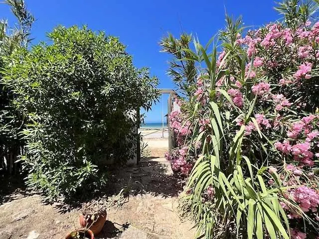Casa Del Mar En Primera Linea De Playa El Palmar Cadiz Holiday home